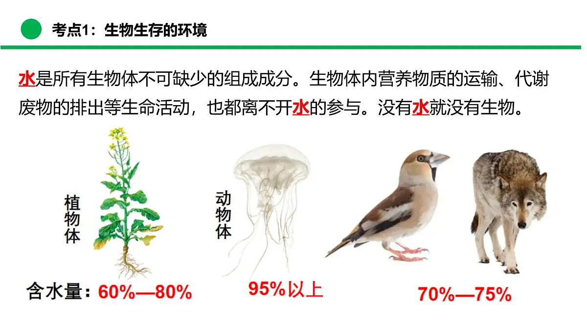 专题01+生物与环境（复习课件）-2024-2025学年七年级生物下学期期末考点大串讲（苏教版2024）课件第6页
