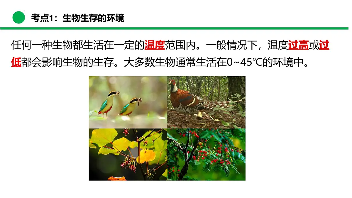 专题01+生物与环境（复习课件）-2024-2025学年七年级生物下学期期末考点大串讲（苏教版2024）课件第7页