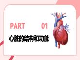 4.4.3输送血液的泵——心脏（第1课时）课件 2025学年人教版（2024）生物七年级下册