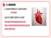 4.4.3输送血液的泵——心脏（第1课时）课件 2025学年人教版（2024）生物七年级下册
