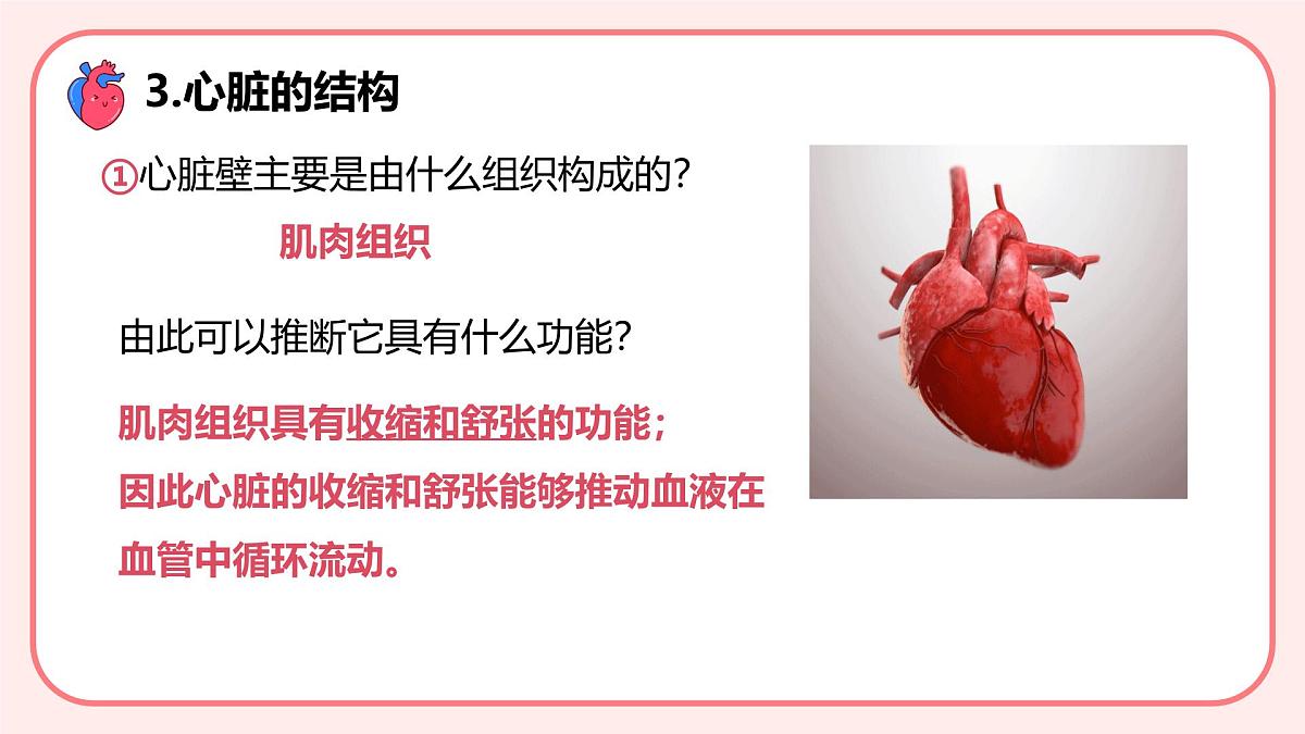 4.4.3输送血液的泵——心脏（第1课时）课件 2025学年人教版（2024）生物七年级下册第5页