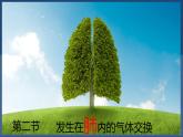 4.3.2++发生在肺内的气体交换++课件-2024-2025学年人教版生物七年级下册