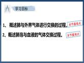 4.3.2++发生在肺内的气体交换++课件-2024-2025学年人教版生物七年级下册