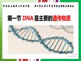 4.3.1++DNA是主要的遺傳物質(zhì)++課件-2024-2025學(xué)年濟(jì)南版生物七年級(jí)下冊(cè)