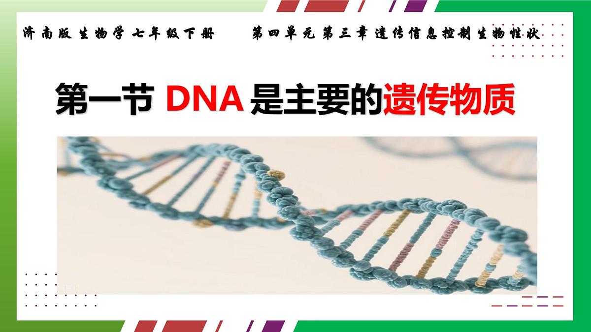 4.3.1++DNA是主要的遗传物质++课件-2024-2025学年济南版生物七年级下册第4页