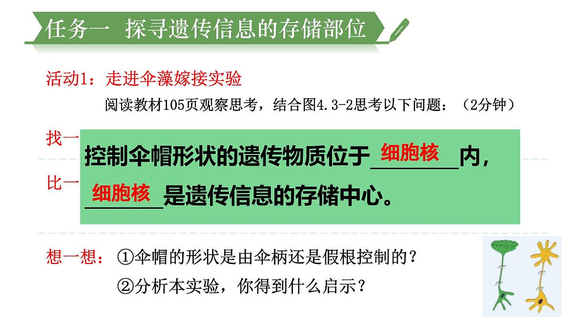 4.3.1++DNA是主要的遗传物质++课件-2024-2025学年济南版生物七年级下册第7页