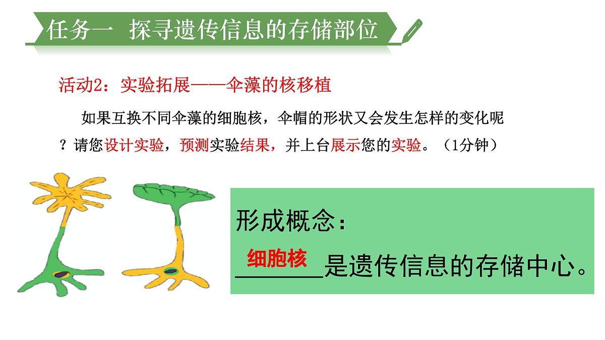 4.3.1++DNA是主要的遗传物质++课件-2024-2025学年济南版生物七年级下册第8页