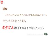 4.3.1++DNA是主要的遺傳物質(zhì)++課件-2024-2025學(xué)年濟(jì)南版生物七年級(jí)下冊(cè) (1)
