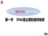 4.3.1++DNA是主要的遺傳物質(zhì)++課件-2024-2025學(xué)年濟(jì)南版生物七年級(jí)下冊(cè) (1)