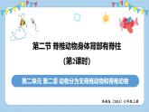 2.2.2++脊椎動(dòng)物身體背部有脊柱（第2課時(shí)）課件-2024-2025學(xué)年濟(jì)南版生物七年級(jí)上冊