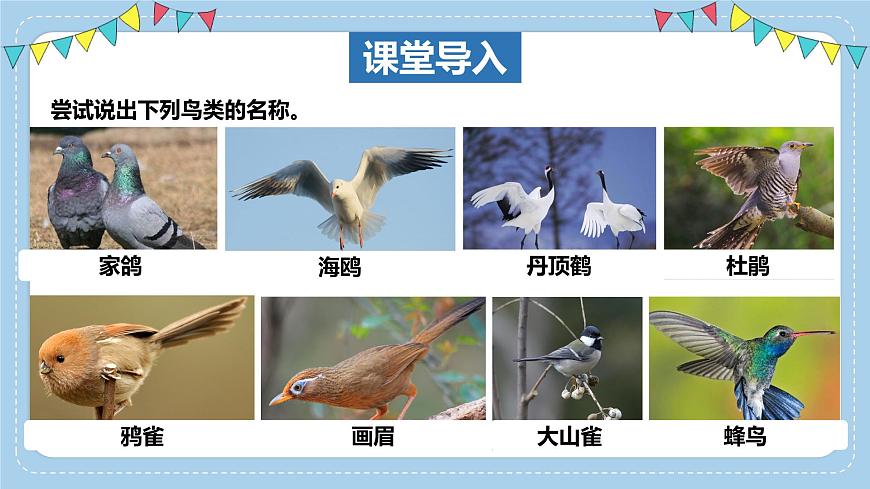 2.2.2++脊椎动物身体背部有脊柱（第2课时）课件-2024-2025学年济南版生物七年级上册第3页