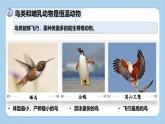 2.2.2++脊椎動(dòng)物身體背部有脊柱（第2課時(shí)）課件-2024-2025學(xué)年濟(jì)南版生物七年級(jí)上冊