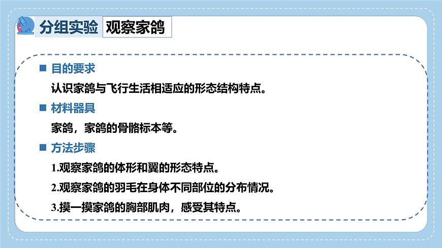 2.2.2++脊椎动物身体背部有脊柱（第2课时）课件-2024-2025学年济南版生物七年级上册第5页