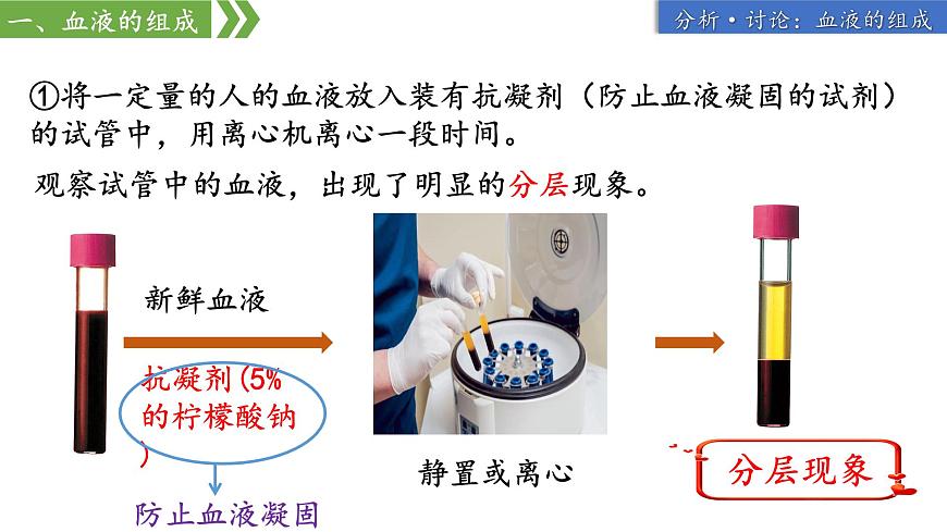 人教版生物七年级下册4.4.1《流动的组织——血液》上课课件第8页