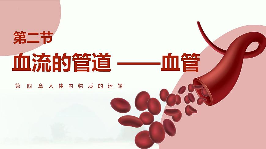 人教版生物七年级下册4.4.2《血流的管道——血管》课件第1页