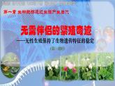初中生物濟(jì)南版（2024）七年級下冊4.1.1  無性生殖保持了生物遺傳特征的穩(wěn)定（第一課時） 課件