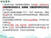 初中生物濟(jì)南版（2024）七年級下冊4.1.1  無性生殖保持了生物遺傳特征的穩(wěn)定（第一課時） 課件