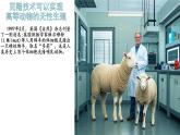 初中生物濟(jì)南版（2024）七年級下冊4.1.1  無性生殖保持了生物遺傳特征的穩(wěn)定（第二課時） 課件