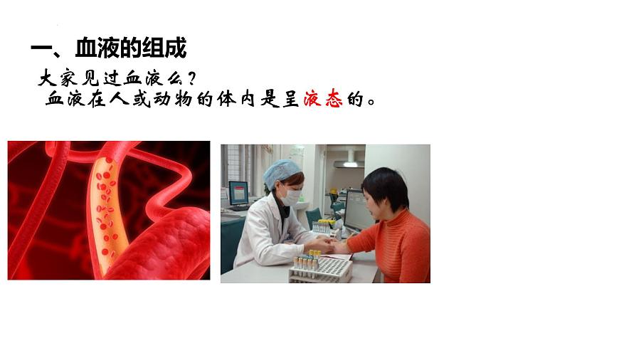 初中生物冀少版（2024）七年级下册3.2.1.1  血液 课件第5页