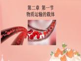 初中生物冀少版（2024）七年級(jí)下冊(cè)3.2.1 血液循環(huán)系統(tǒng)的組成 課件