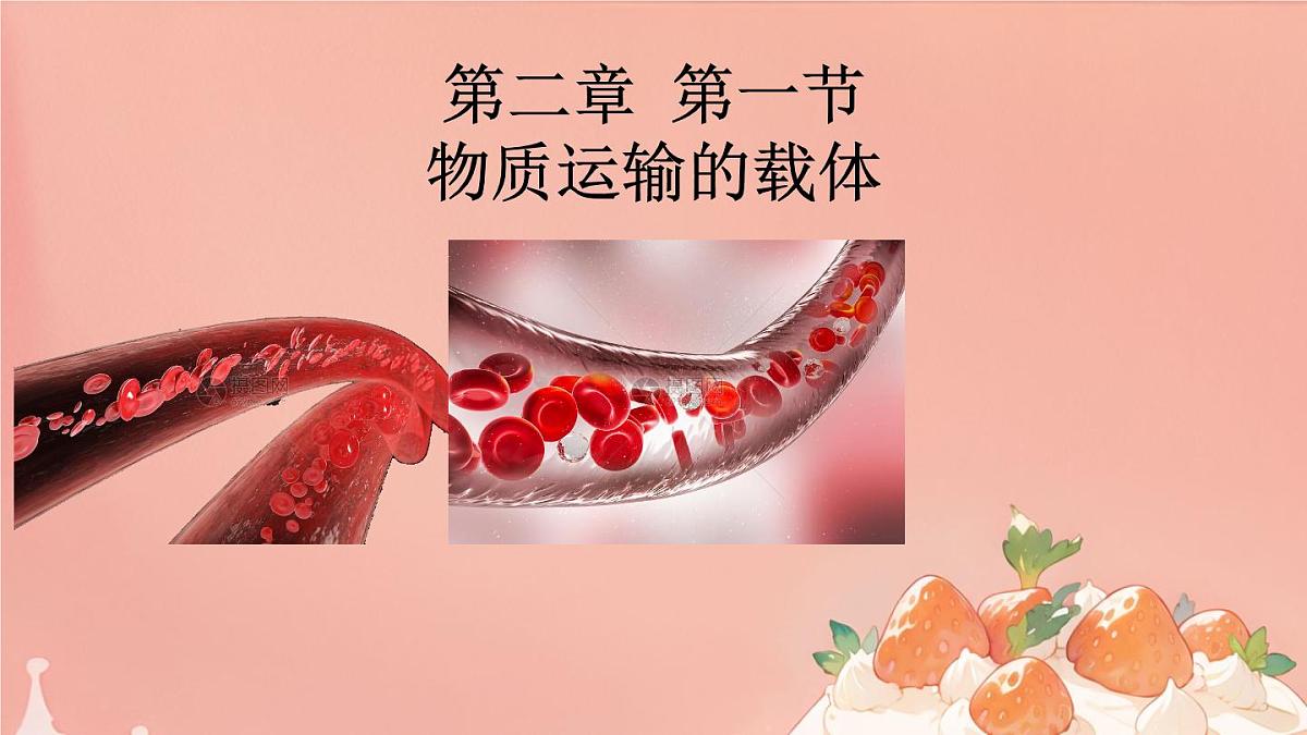 初中生物冀少版（2024）七年级下册3.2.1 血液循环系统的组成 课件第1页