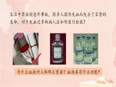 初中生物冀少版（2024）七年級(jí)下冊(cè)3.2.1 血液循環(huán)系統(tǒng)的組成 課件