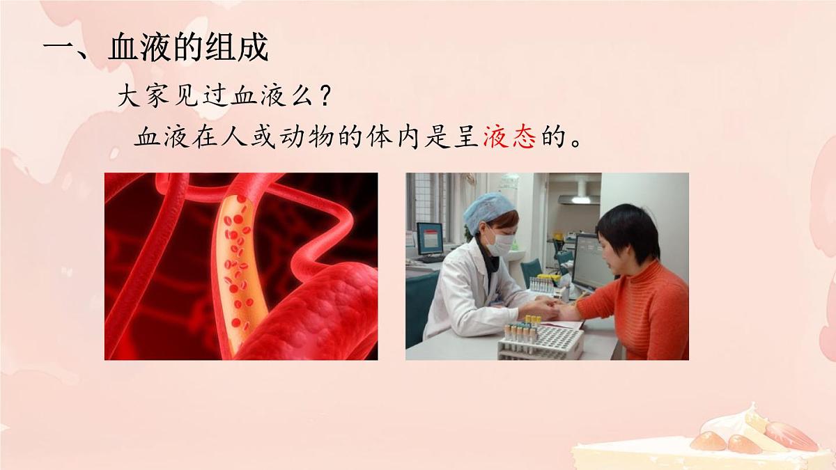 初中生物冀少版（2024）七年级下册3.2.1 血液循环系统的组成 课件第4页