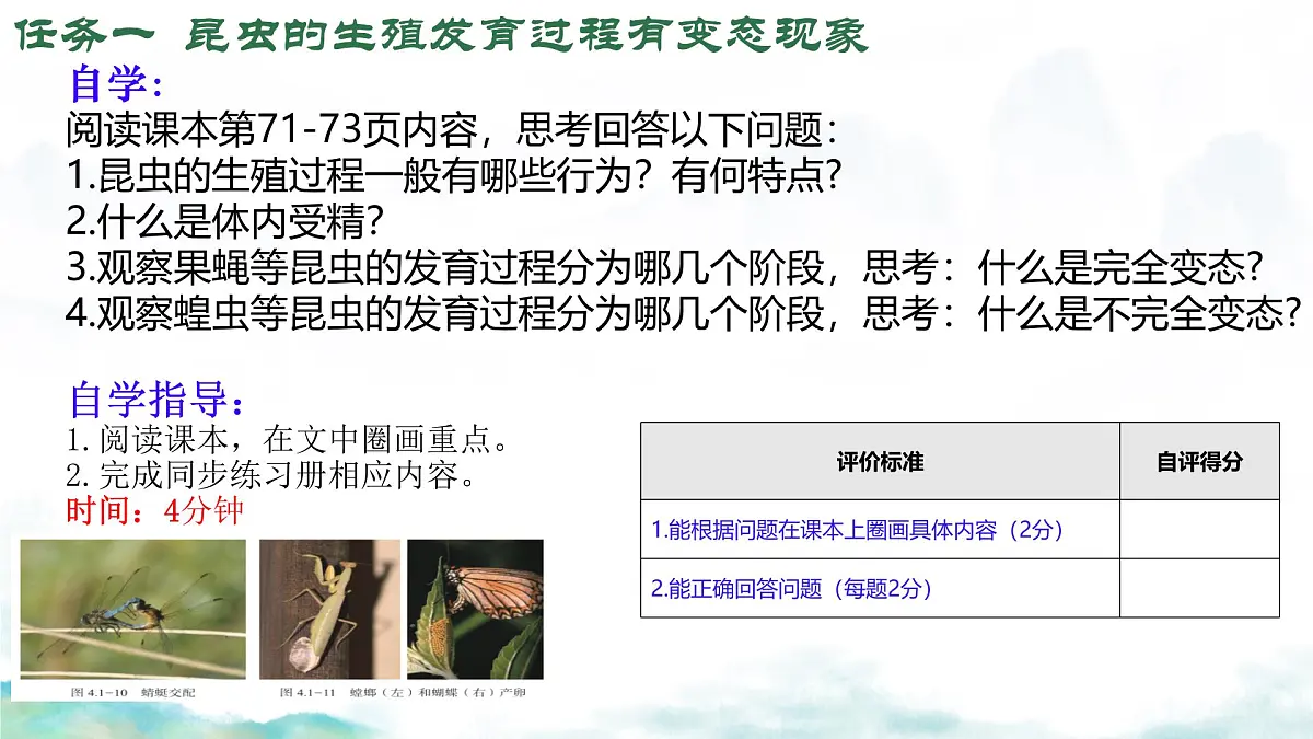 初中 生物 济南版（2024）七年级下册4.1.2有性生殖增加了后代的多样性（第一课时） 课件第5页