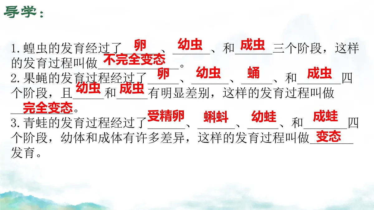 初中 生物 济南版（2024）七年级下册4.1.2有性生殖增加了后代的多样性（第二课时） 课件第1页