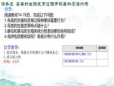 初中 生物 濟(jì)南版（2024）七年級(jí)下冊(cè)4.1.2有性生殖增加了后代的多樣性（第二課時(shí)） 課件