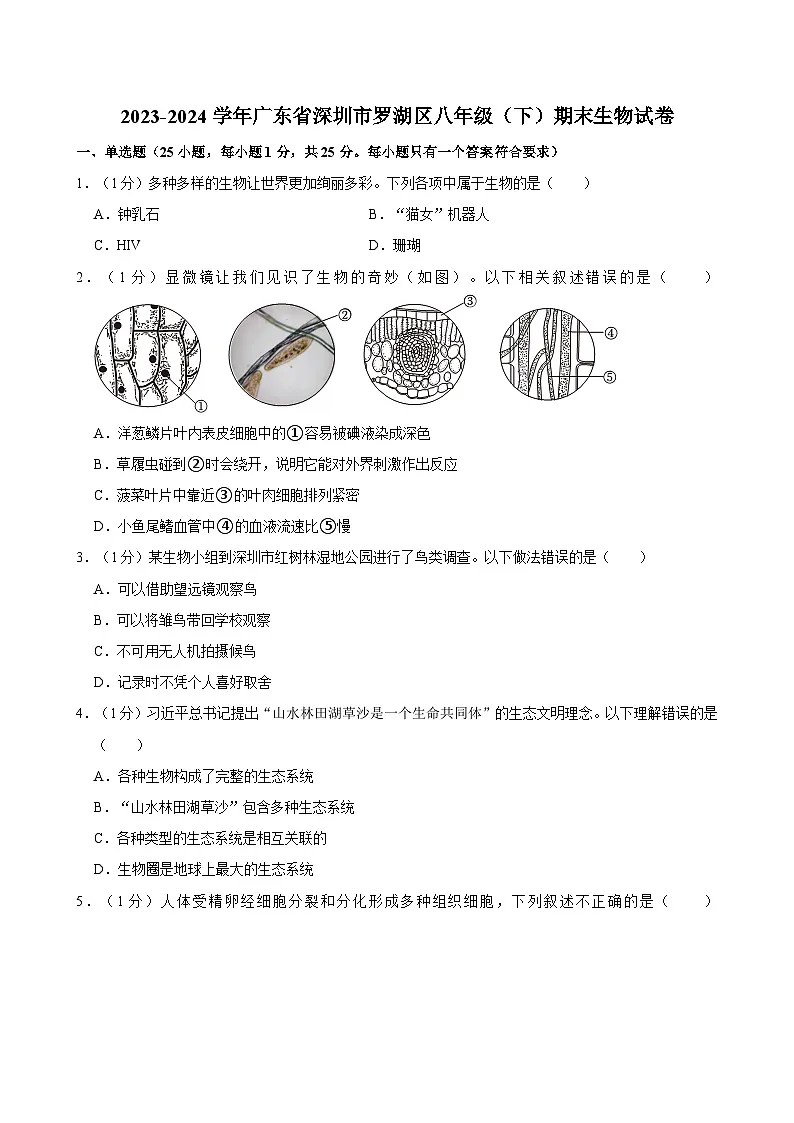广东省深圳市罗湖区2023-2024学年八年级下学期期末生物试卷第1页