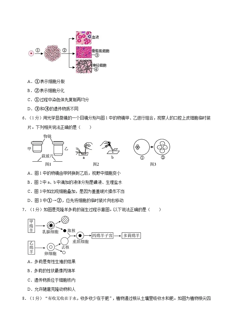 广东省深圳市罗湖区2023-2024学年八年级下学期期末生物试卷第2页