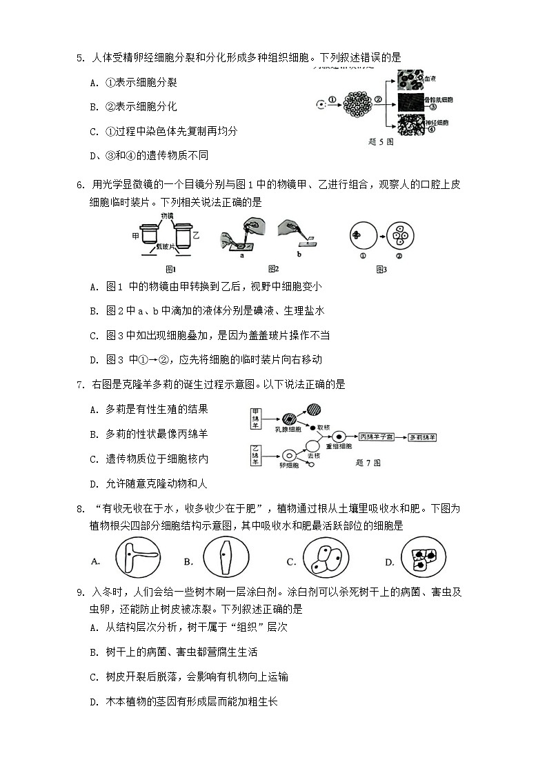 广东省深圳市罗湖区2023-2024学年八年级下学期学业水平测试生物试题第2页