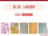 4.2.2 消化和吸收課件2024-2025學(xué)年人教版生物七年級下冊