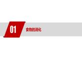 4.2.2 消化和吸收課件2024-2025學(xué)年人教版生物七年級下冊