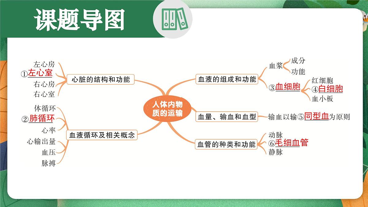 第七章+人体的物质运输复习课件2024-2025学年北师大版生物生物七年级下册第2页