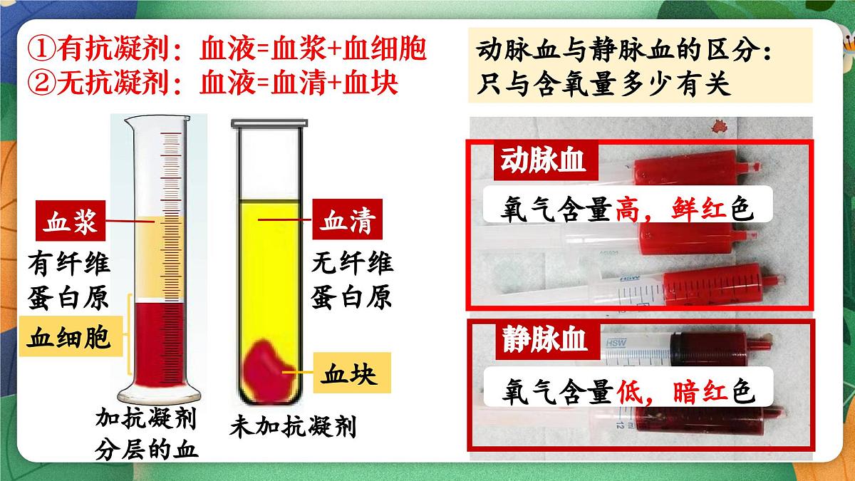 第七章+人体的物质运输复习课件2024-2025学年北师大版生物生物七年级下册第4页