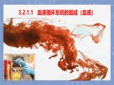 初中 生物 冀少版（2024）七年級下冊3.2.1.1   血液循環(huán)系統(tǒng)的組成（血液） 課件