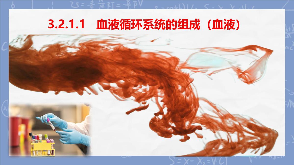 初中 生物 冀少版（2024）七年级下册3.2.1.1   血液循环系统的组成（血液） 课件第1页