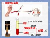 初中 生物 冀少版（2024）七年級下冊3.2.1.1   血液循環(huán)系統(tǒng)的組成（血液） 課件