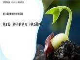 初中 生物 蘇科版（2024）七年級下冊5.11.1 種子的萌發(fā)（第2課時） 課件