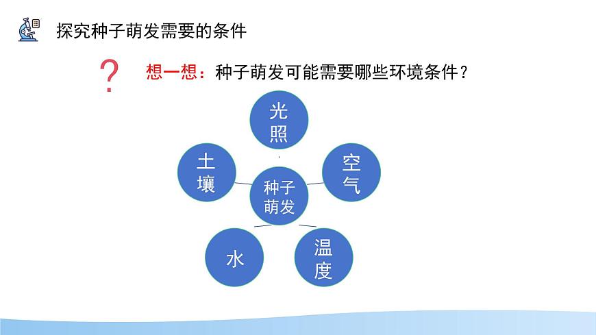 初中 生物 苏科版（2024）七年级下册5.11.1 种子的萌发（第2课时） 课件第6页