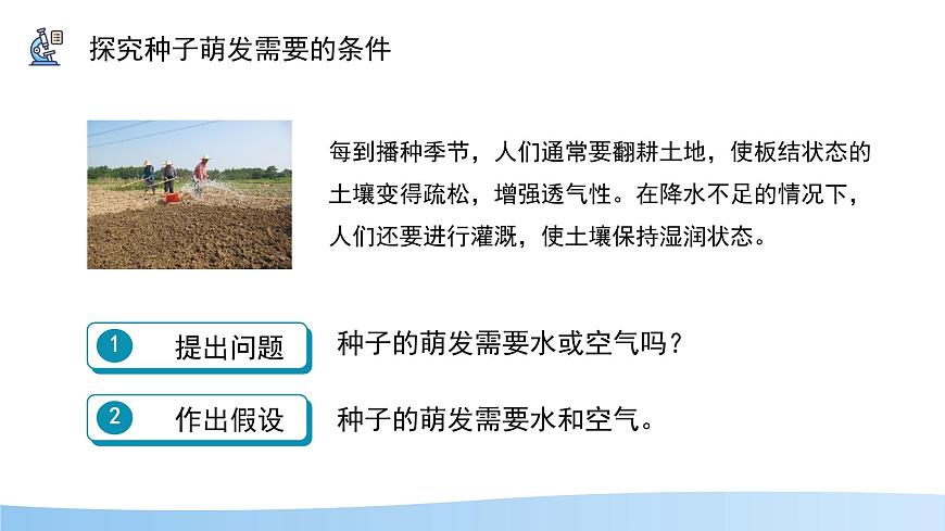 初中 生物 苏科版（2024）七年级下册5.11.1 种子的萌发（第2课时） 课件第7页