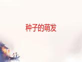 初中 生物 蘇科版（2024）七年級下冊5.11.1 種子的萌發(fā) 課件