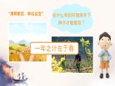 初中 生物 蘇科版（2024）七年級下冊5.11.1 種子的萌發(fā) 課件