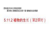 初中 生物 蘇科版（2024）七年級下冊5.11.2 植物的生長（第2課時） 課件