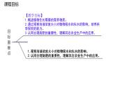 初中 生物 蘇科版（2024）七年級下冊5.11.2 植物的生長（第2課時） 課件