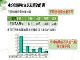 初中 生物 蘇科版（2024）七年級下冊5.11.2 植物的生長（第2課時） 課件