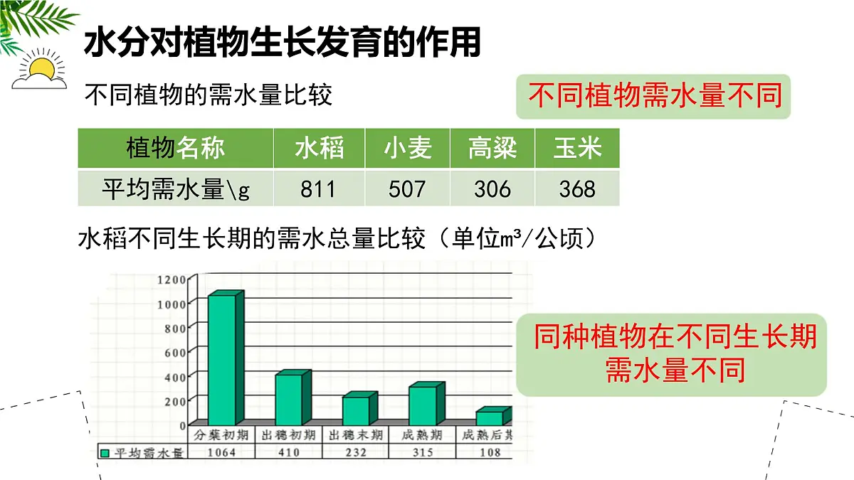 初中 生物 苏科版（2024）七年级下册5.11.2 植物的生长（第2课时） 课件第5页