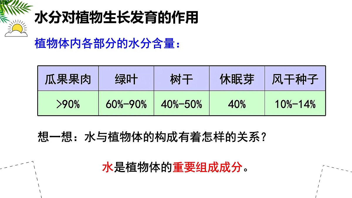 初中 生物 苏科版（2024）七年级下册5.11.2 植物的生长（第2课时） 课件第6页